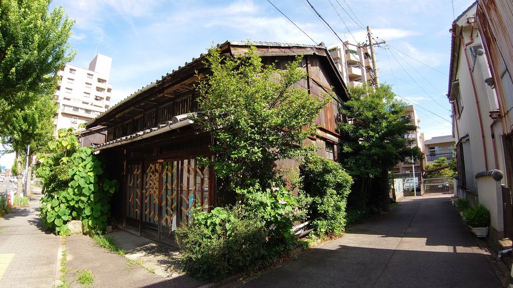 管理されないまま草木に覆われた木造の空き家